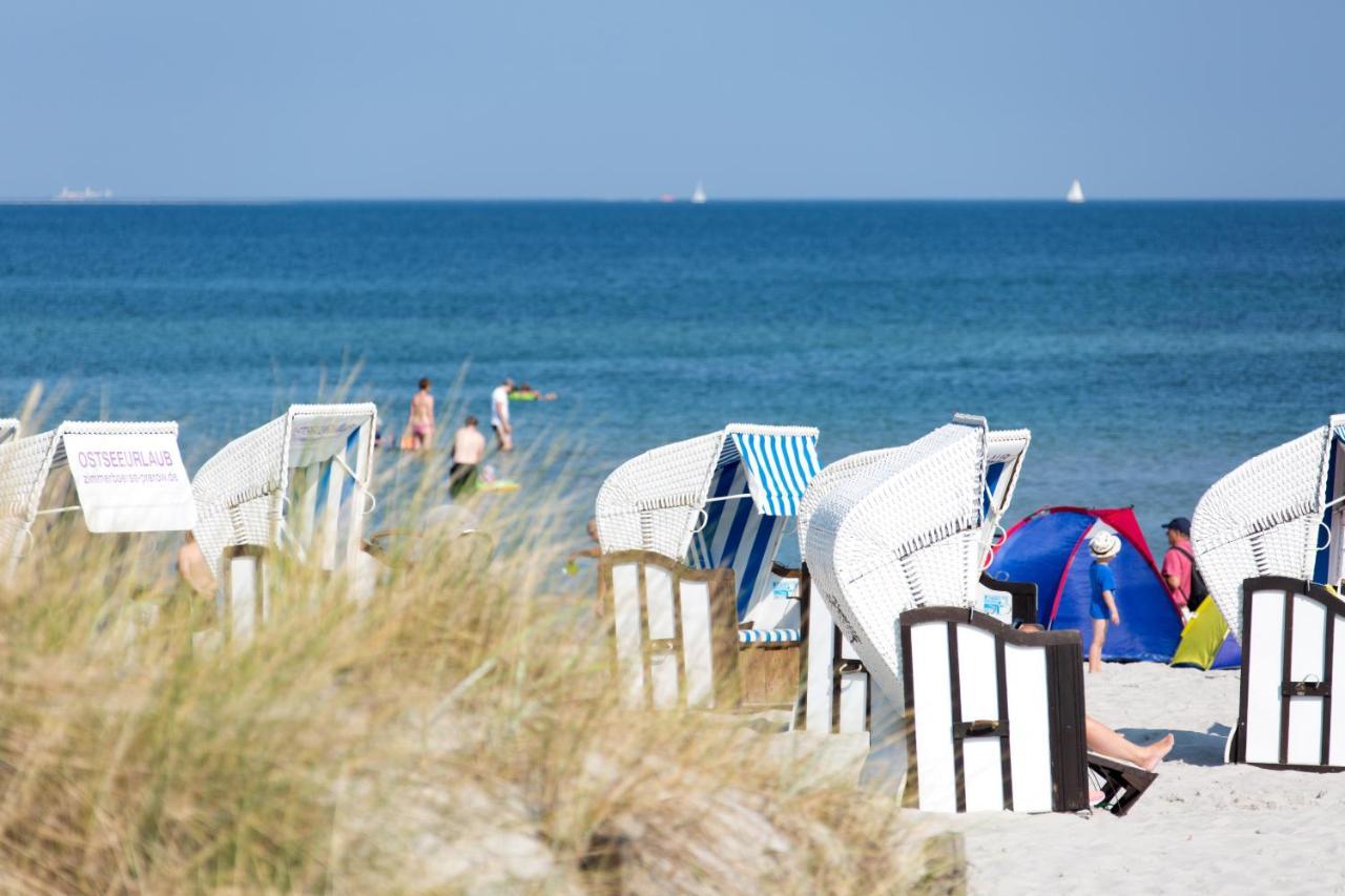 Seebrise Zingst Εξωτερικό φωτογραφία